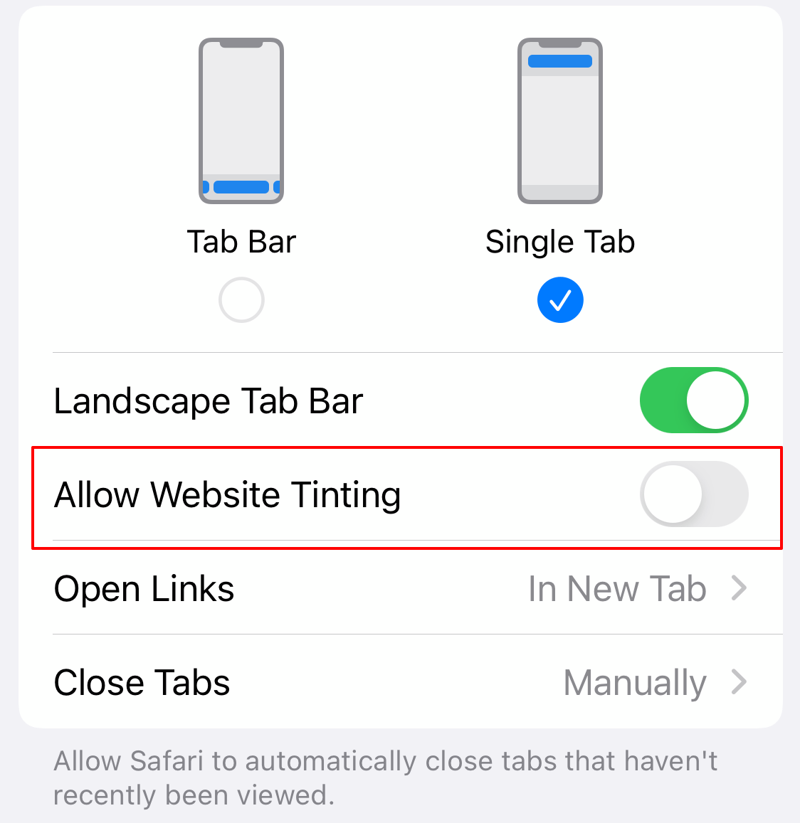 Allow Website Tinting toggle off in iPhone