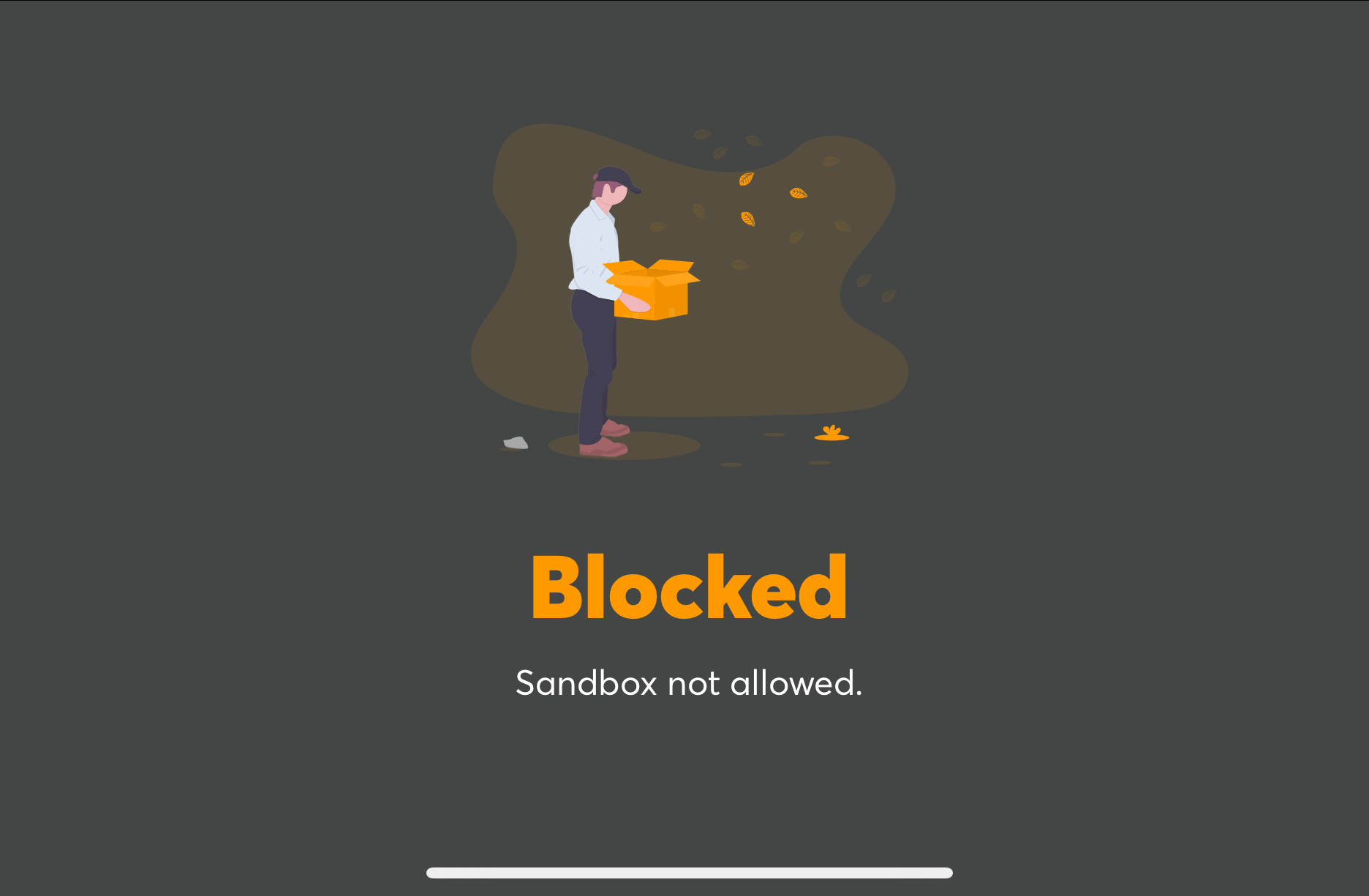 Blocked Sandbox not allowed error on Safari iPhone