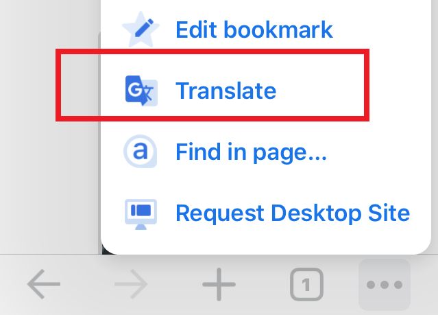 Nauwgezet twaalf De stad How to Auto-Translate a Web Page in Chrome iPhone
