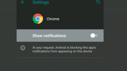 Chrome Show Notifications Toggle Button OFF