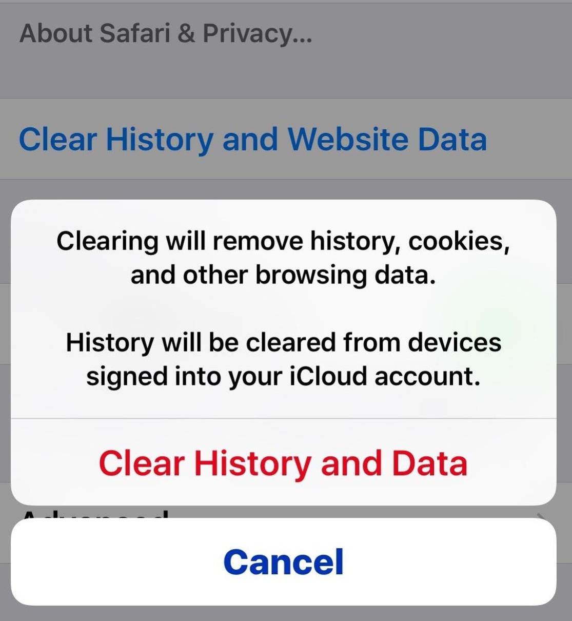 Очистить историю и хранилище данных из Safari iOS