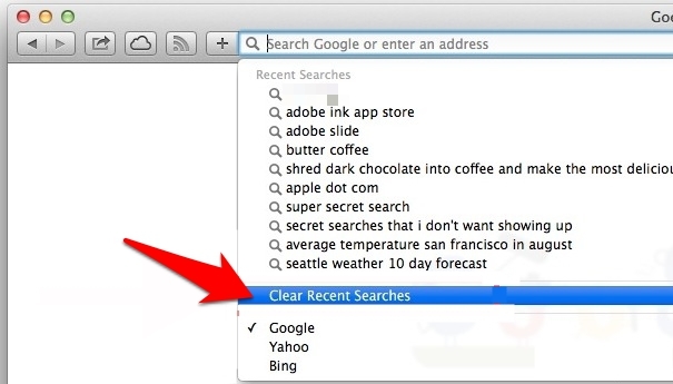 Clear Browsing History of Safari for date range