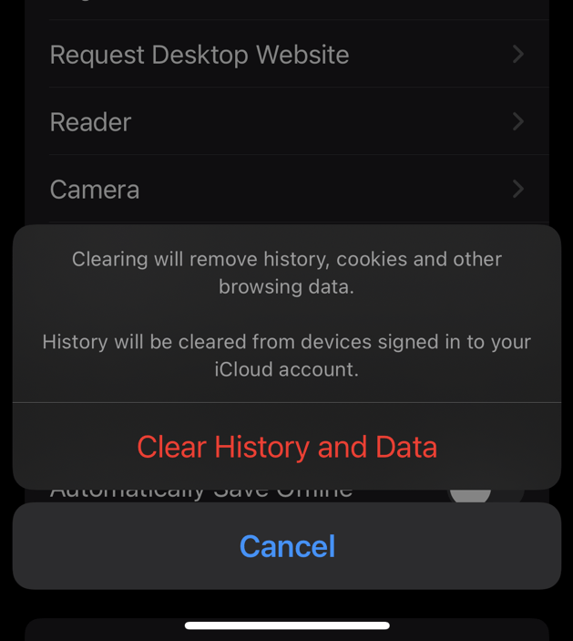 Clear History and Data command from Safari iPhone