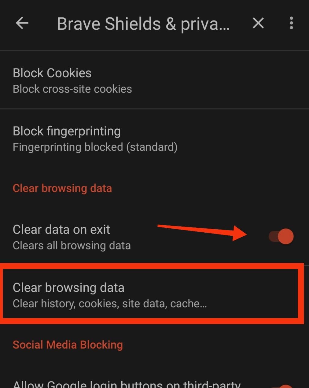 Clear browsing data tab in Brave Mobile