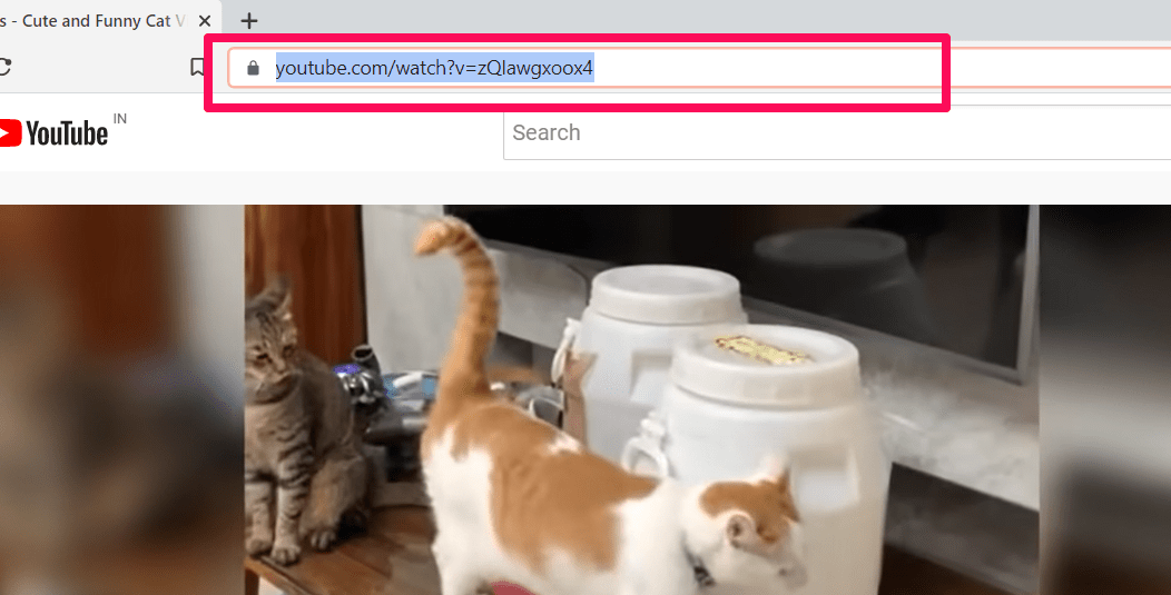 Copy Video URL in Brave Browser