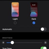 Dark Display and Brightness Settings in Apple iPhone