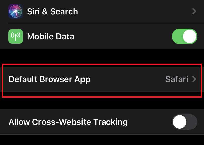 Default Browser App Settings page in iPhone