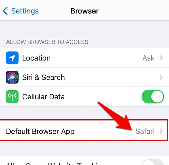 Default Browser App settings in iOS iPhone