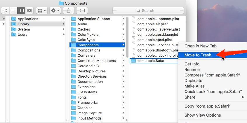 Delete Safari Preferences File Components from Mac