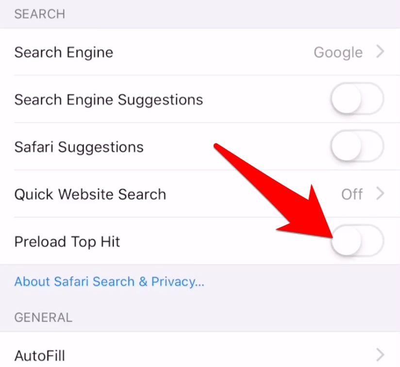 Disable Preload Top Hit in Safari iOS iPhone
