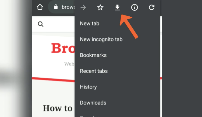 Download WebPage for Offline Reading Chrome Android