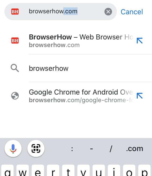 Enter Website URL in Chrome iOS