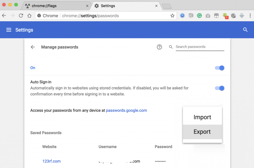 Google Chrome Import/Export Passwords option