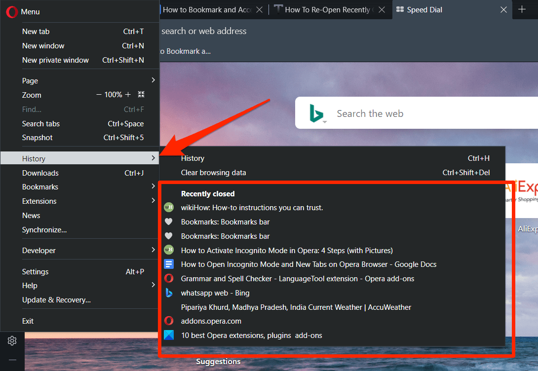 History Menu option in Opera Browser