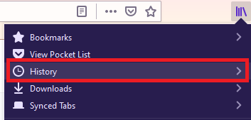 How To Clear Individual Search History In Firefox Computer?