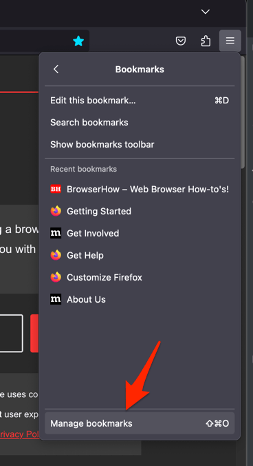 Manage Bookmarks menu in Firefox computer