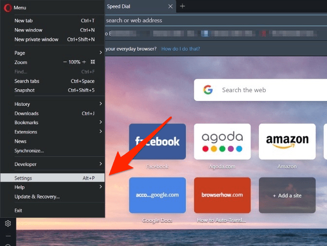 Opera browser settings menu on Windows computer