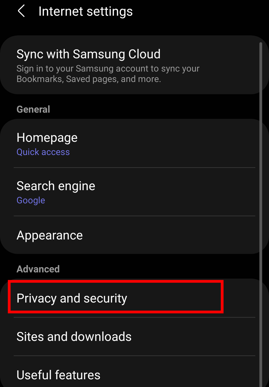 Privacy and Security menu tab in Samsung Internet