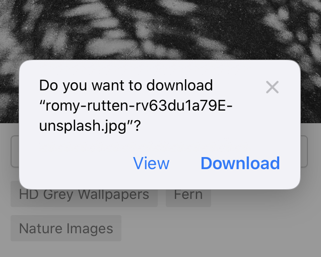 Safari Confirm Download Pop-up option
