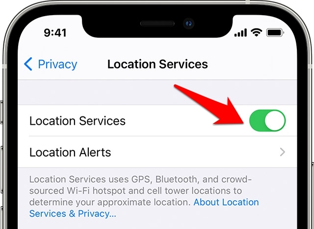 Safari Privacy Location Services Toggle Enabled