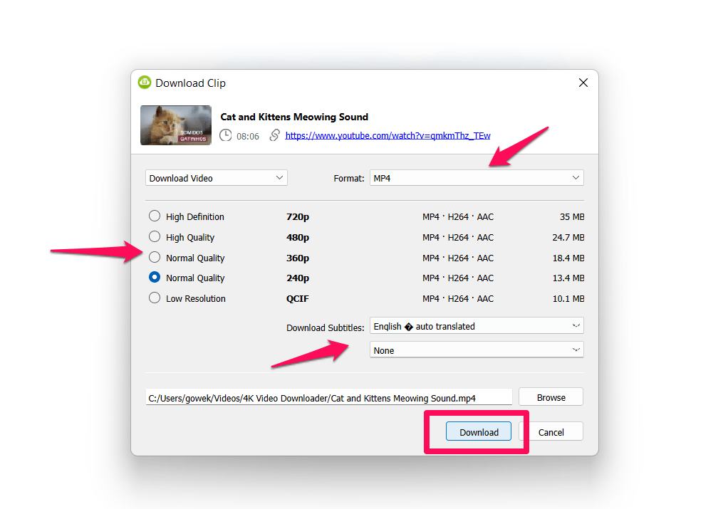 Select Format Resolution subtitles for downloading video on 4K Video Downloader