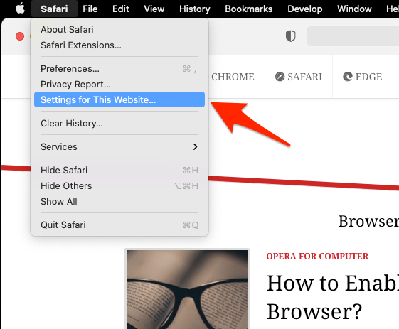 Settings for This Website option in Safari browser