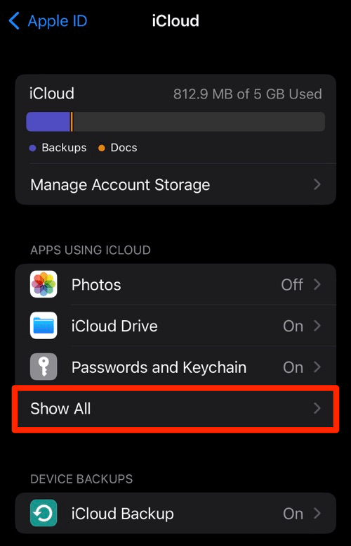 Show All Apps using iCloud in iPhone Settings screen