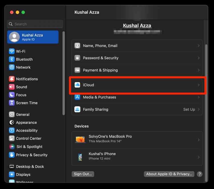 iCloud Tab for Settings on macOS under Apple ID