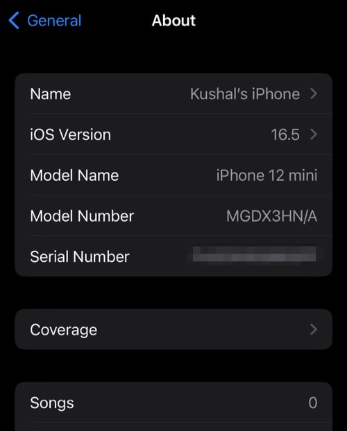 iOS Version number in About Settings page